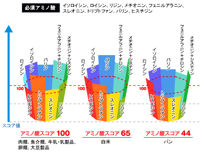 アミノ酸スコア